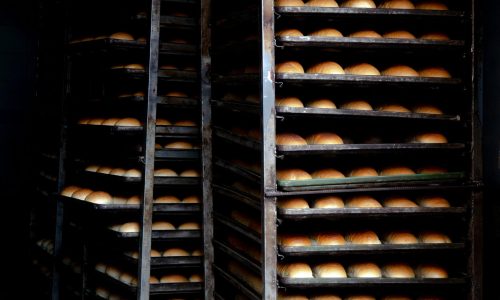 Tall racks filled with rows of freshly baked round loaves in an industrial bakery setting.